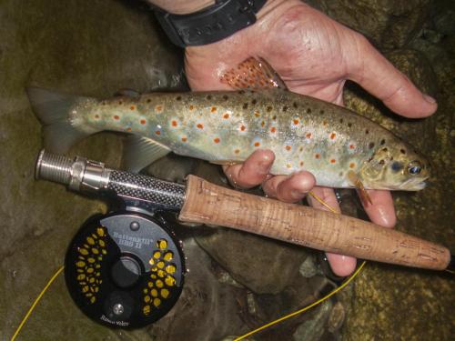 flyfishing-with-friends-in-mountain-04