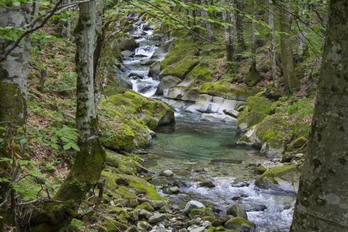 flyfishing-with-friends-in-mountain-05