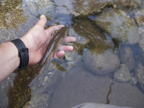 flyfishing-with-friends-in-mountain-07