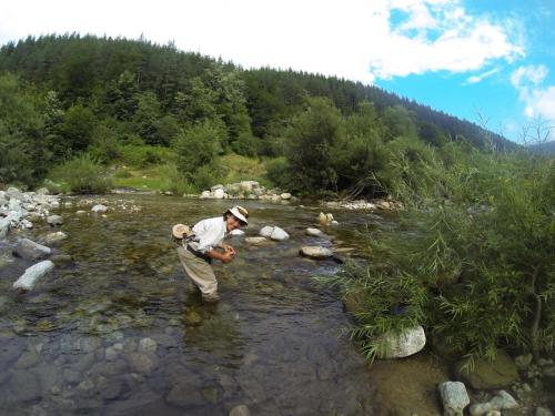 DCIM101GOPRO