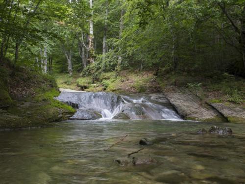 flyfishing-with-friends-in-mountain-12