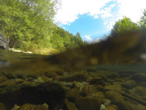 DCIM101GOPRO