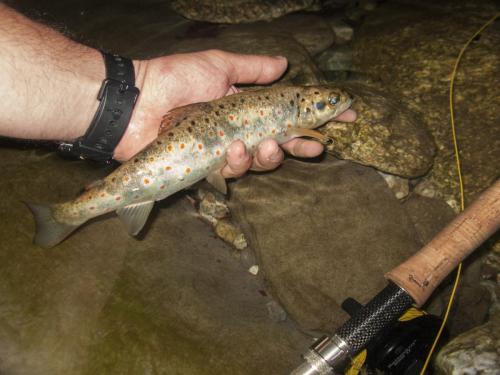 flyfishing-with-friends-in-mountain-14