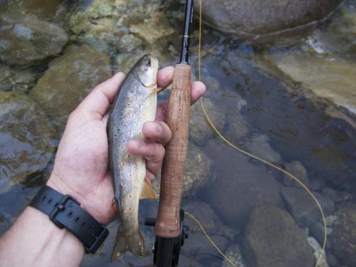 flyfishing-with-friends-in-mountain-19