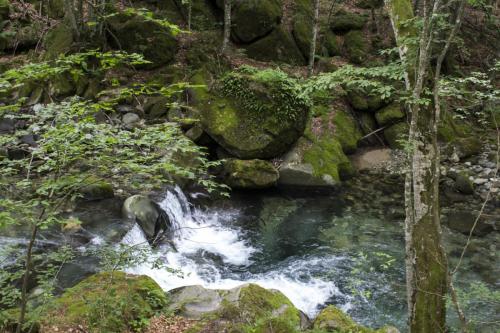 flyfishing-with-friends-in-mountain-20