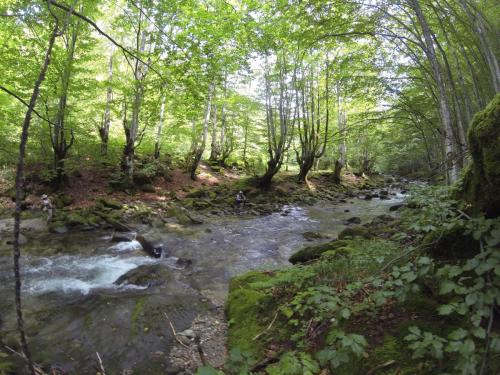 DCIM101GOPRO