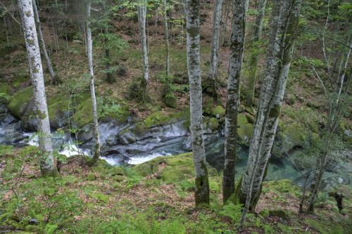 flyfishing-with-friends-in-mountain-23