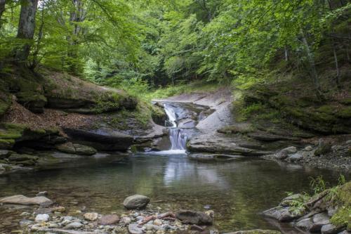 flyfishing-with-friends-in-mountain-25