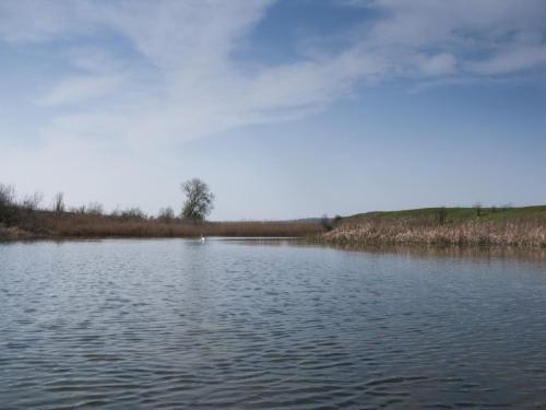 flyfishing-with-swan-04