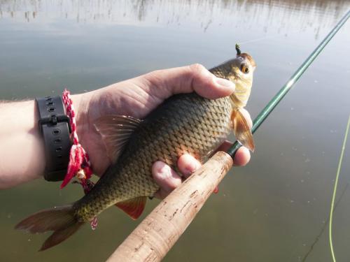 flyfishing-with-swan-11