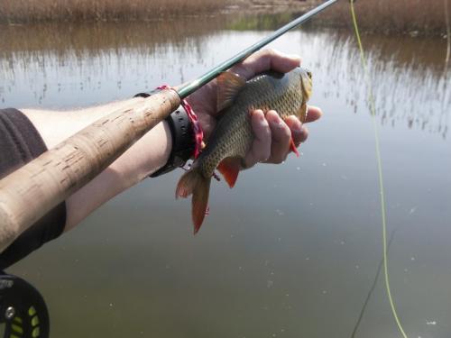 flyfishing-with-swan-12