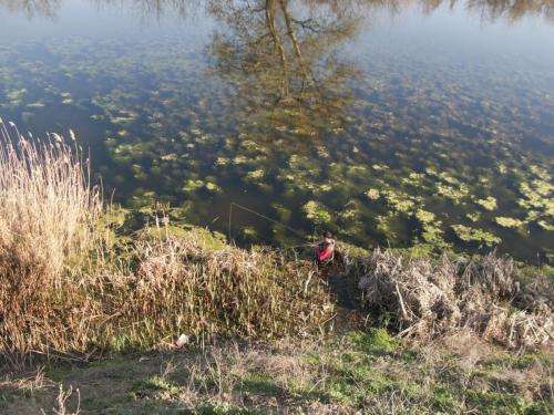 flyfishing-with-swan-19