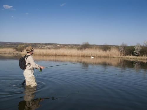 flyfishing-with-swan-20