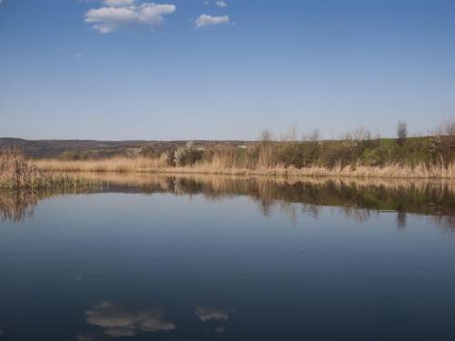 flyfishing-with-swan-21