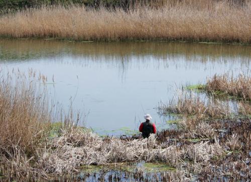 flyfishing-with-swan-23