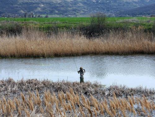 flyfishing-with-swan-24
