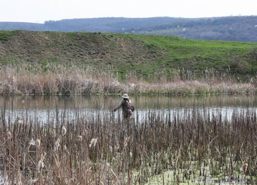 flyfishing-with-swan-25