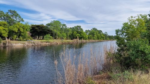 freshwater-florida-202401