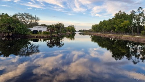 freshwater-florida-202402