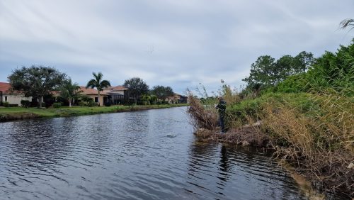 freshwater-florida-202403