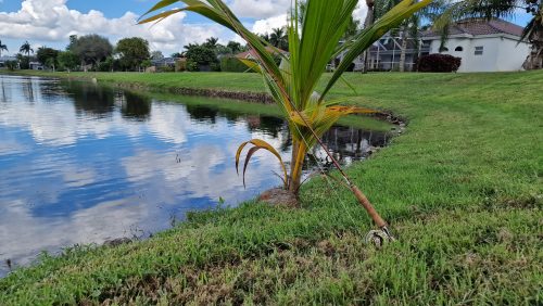 freshwater-florida-202407