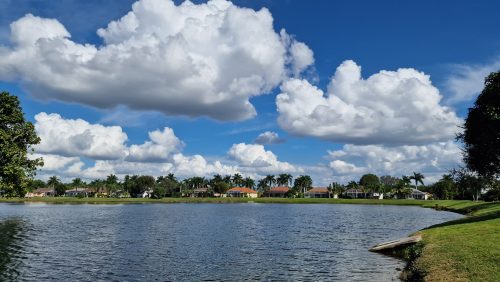 freshwater-florida-202409