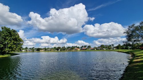 freshwater-florida-202410