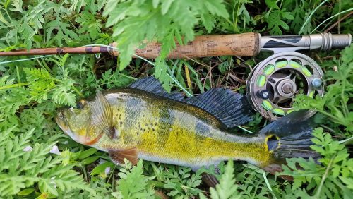 freshwater-florida-202415