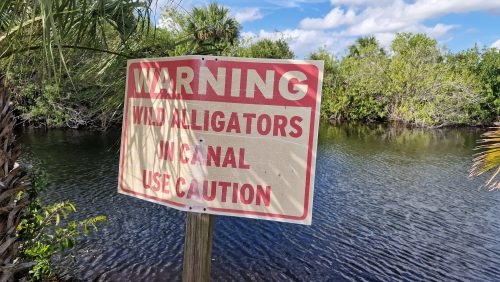freshwater-florida-202417