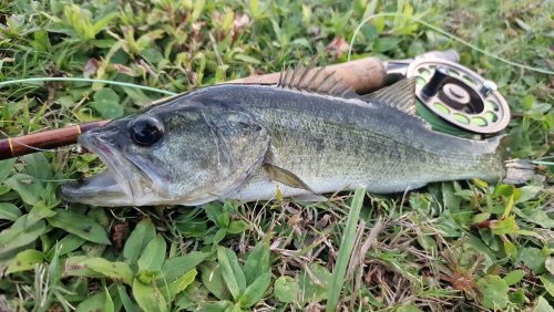 freshwater-florida-202420