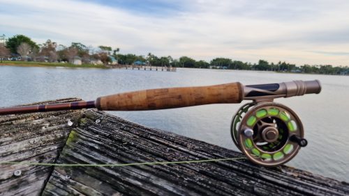 freshwater-florida-202421