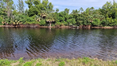 freshwater-florida-202424