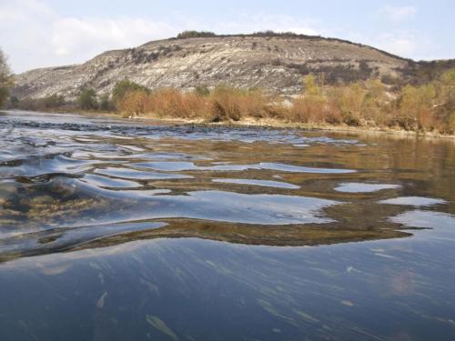 good-pike-iantra-river-01
