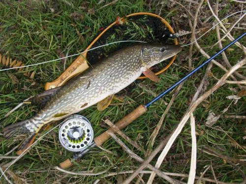 good-pike-iantra-river-03
