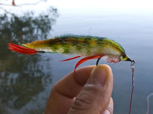 good-pike-iantra-river-04