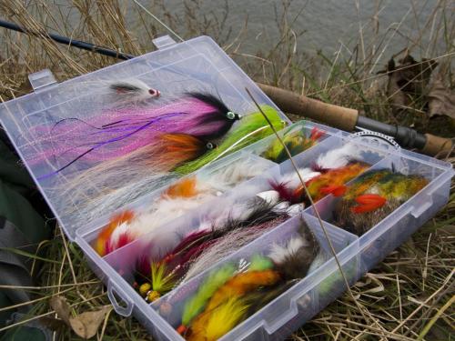 good-pike-iantra-river-06