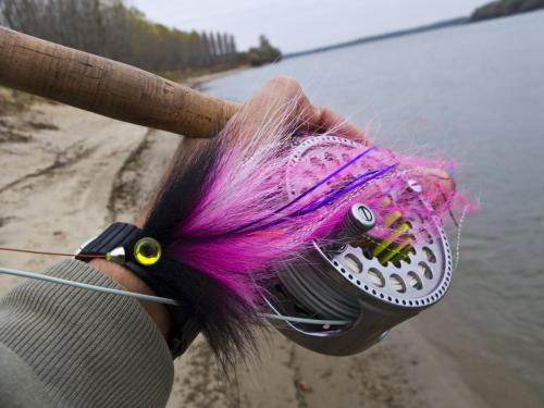 good-pike-iantra-river-07