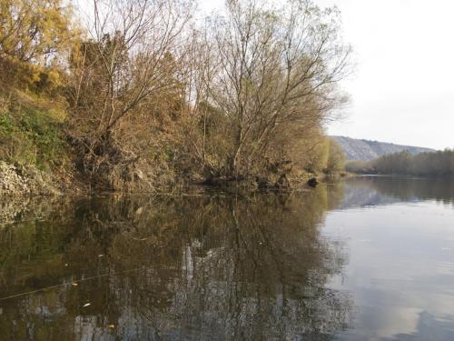 good-pike-iantra-river-10
