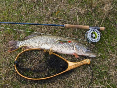 good-pike-iantra-river-12