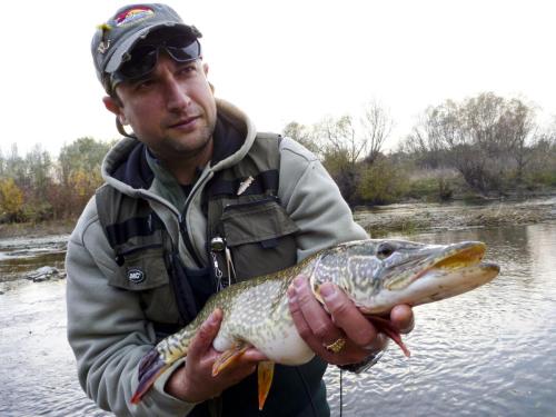 good-pike-iantra-river-16