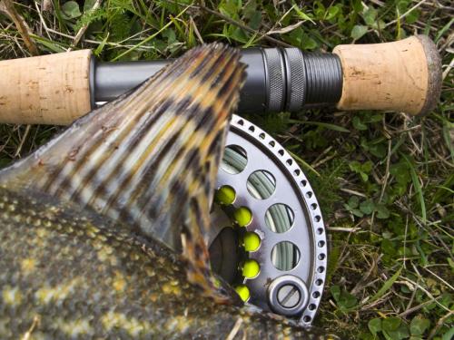 good-pike-iantra-river-17