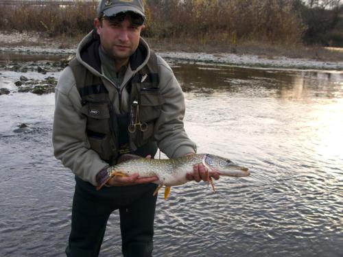 good-pike-iantra-river-18