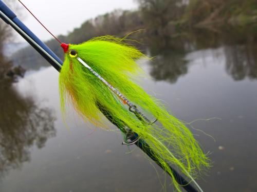 good-pike-iantra-river-21
