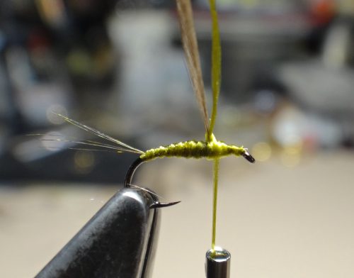hackle-stacker-bwo02