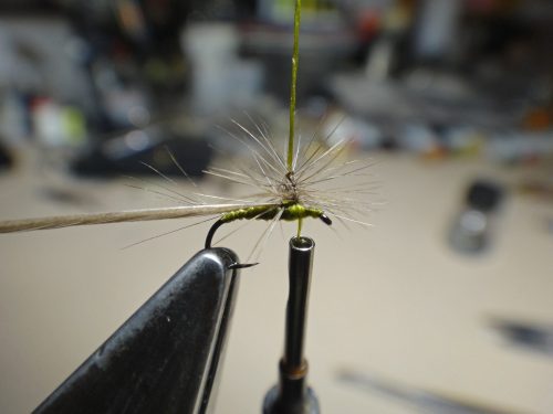 hackle-stacker-bwo03