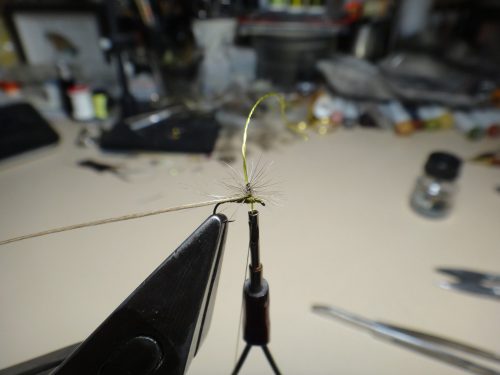 hackle-stacker-bwo04