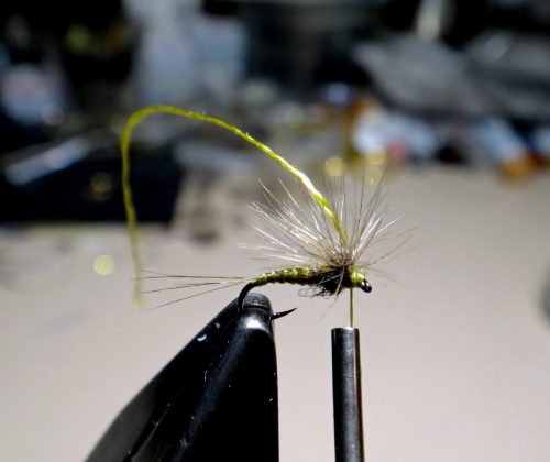 hackle-stacker-bwo07