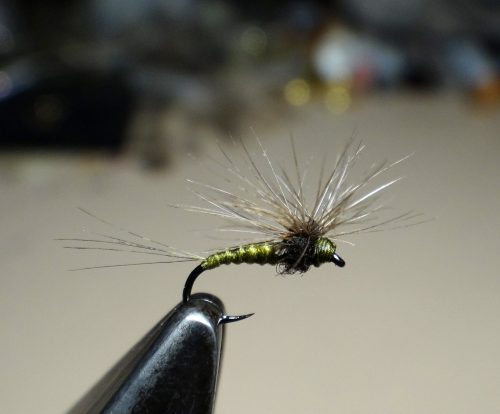 hackle-stacker-bwo08