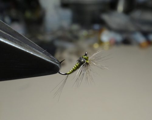 hackle-stacker-bwo10