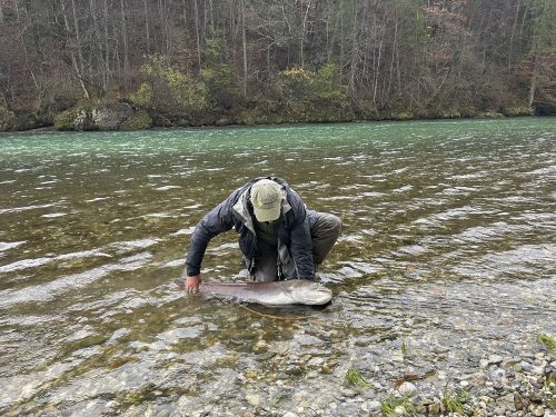 hucho-hucho-sava-radovljica-2022-38